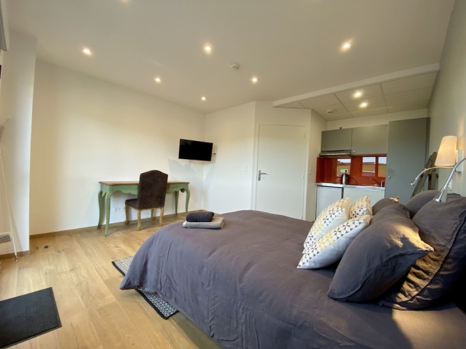 Superior Studio with garden view