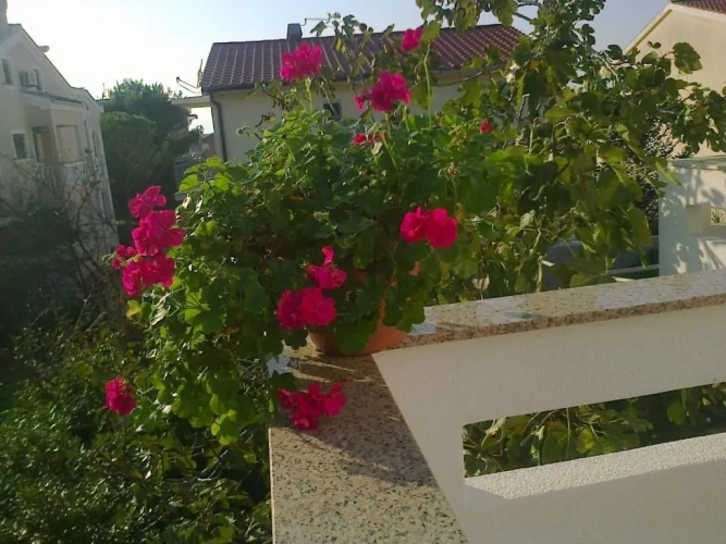 1 Bedroom Apartment with balcony and with view