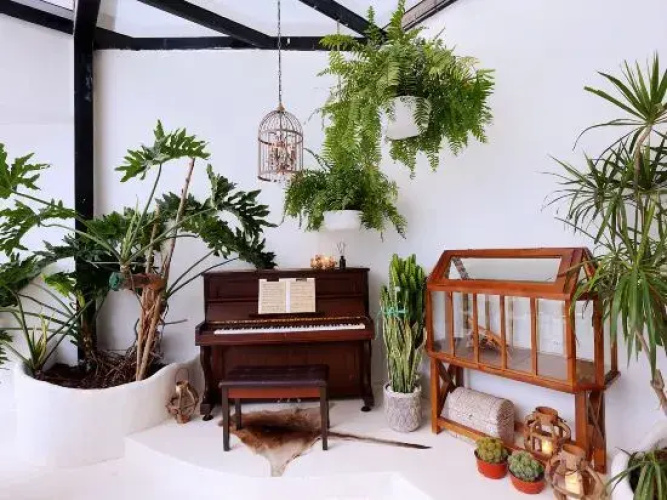 Orange white Vacation Homestay