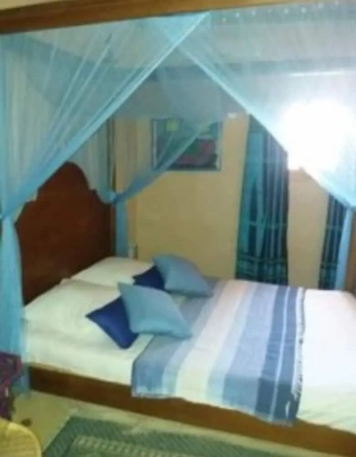 Standard Double room with view