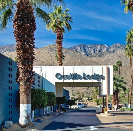 Ocotillo 332