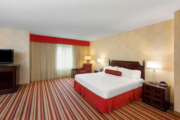 1 Bedroom Suite