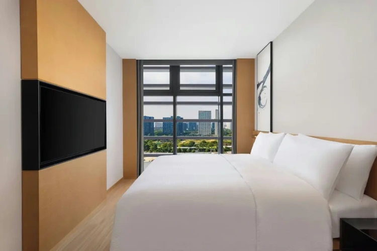 Double Junior Suite with city view