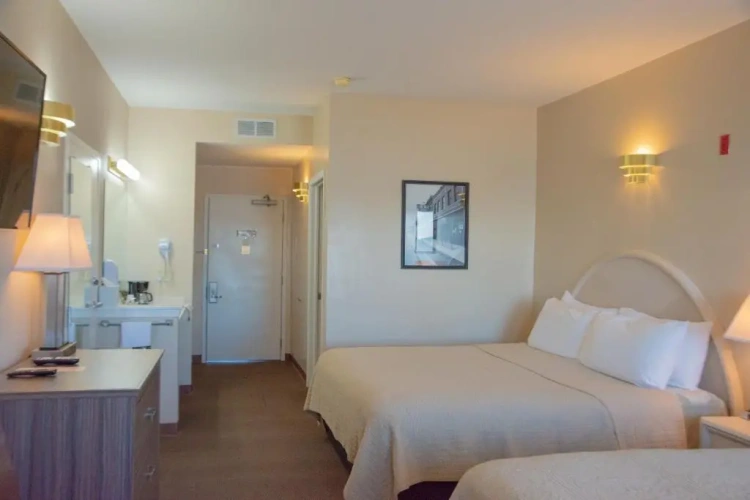 Suite