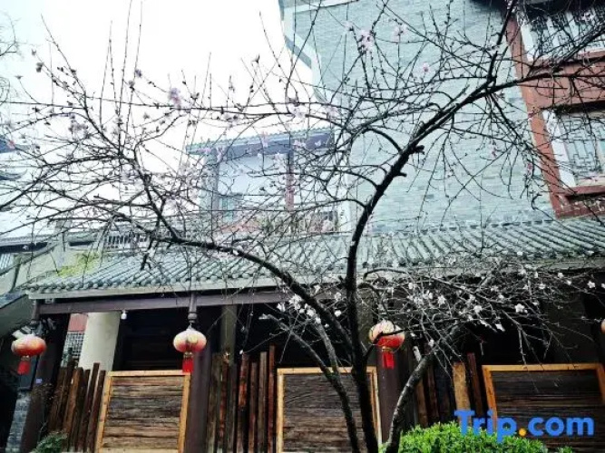 shengxilongHome hotel