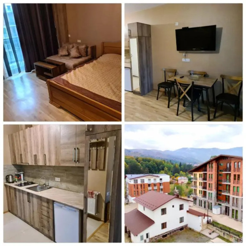 Bakuriani apartment