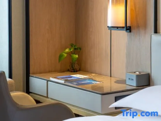 1 Bedroom Suite