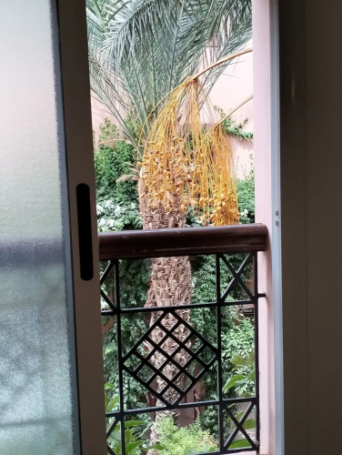 Riad Green Lotus