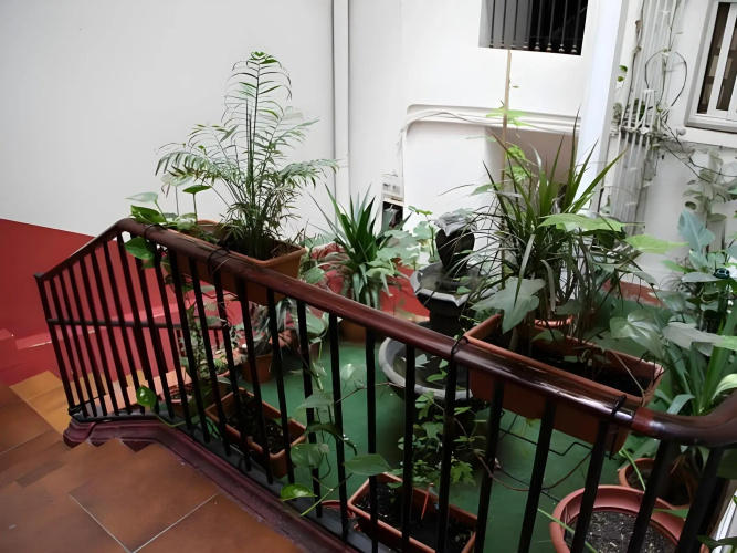 Hostel Razio