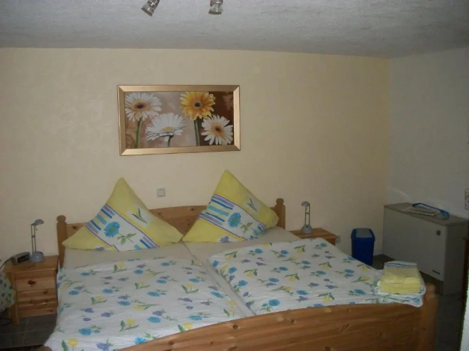 Standard Double room with balcony and with view