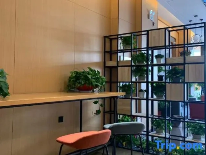 Hotel rooms