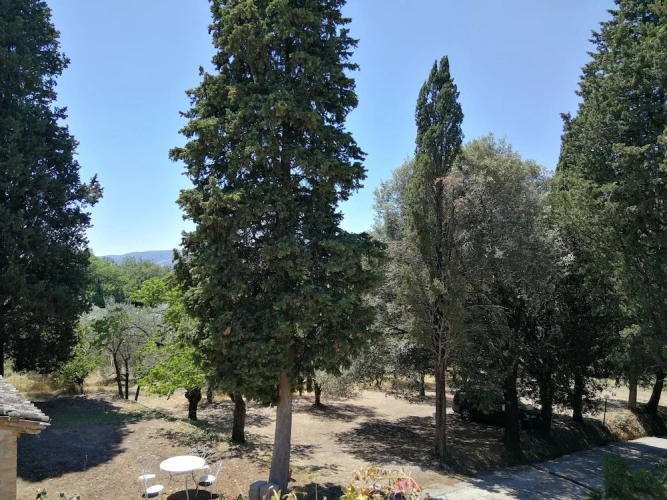 Superior Double room with balcony and with view