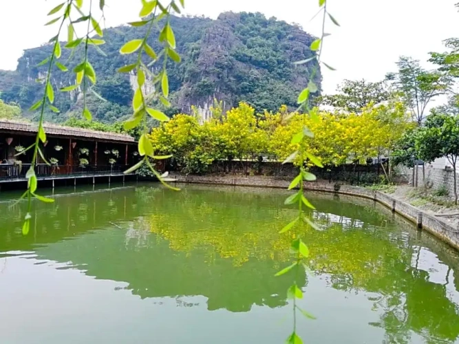Standard Quadruple room with lake view