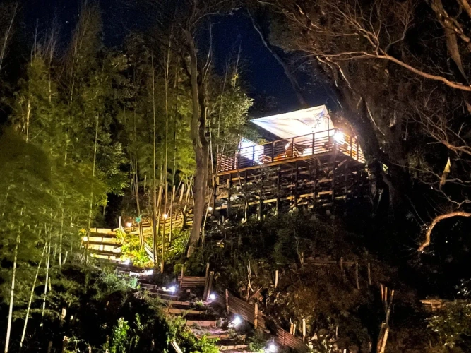 Executive Cottage