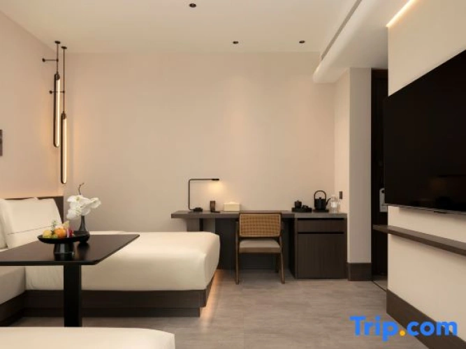 Executive Twin room with city view