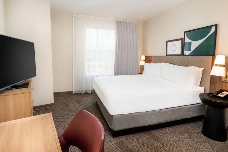 1 Bedroom Suite