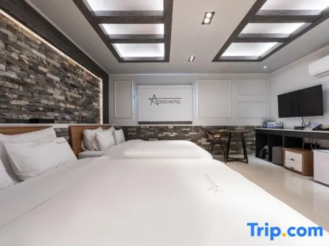 Premium Twin room