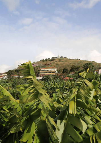 Vila Marta