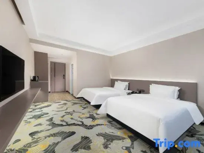 Luxury Twin room