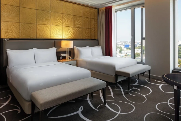 Deluxe Twin room with city view