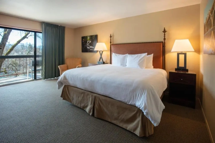 Deluxe Double room with river view