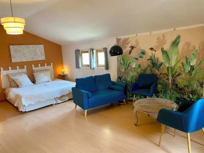 Comfort Studio