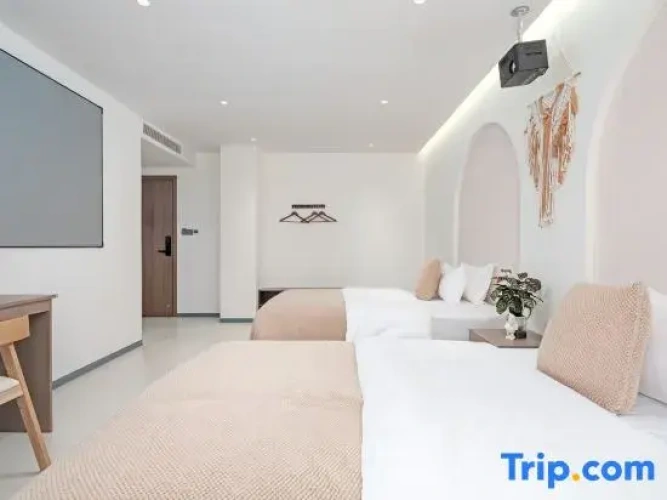 Standard Twin room with street view