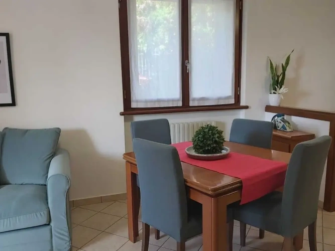 Comfort Apartment