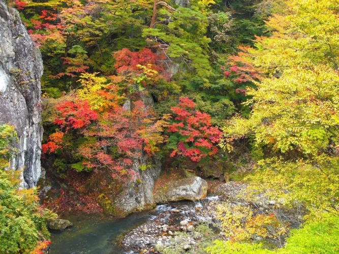 Shuzankata Sakamoto