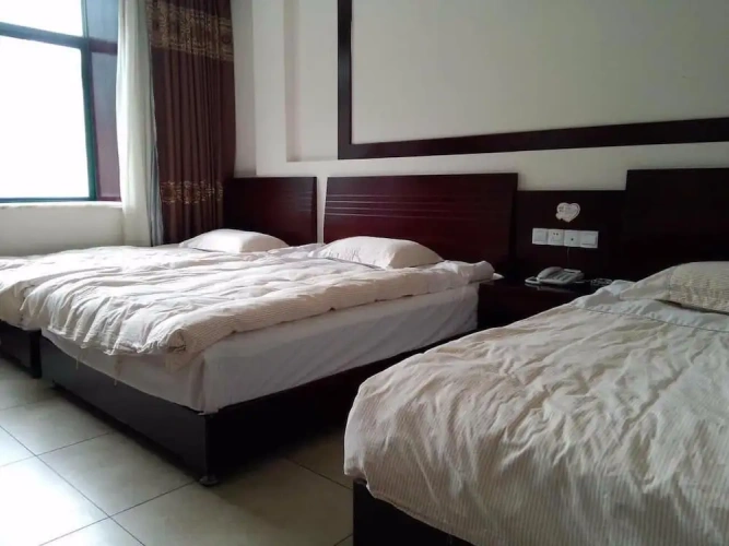 Standard Double room with mountain view