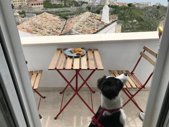 Apartment with sea view