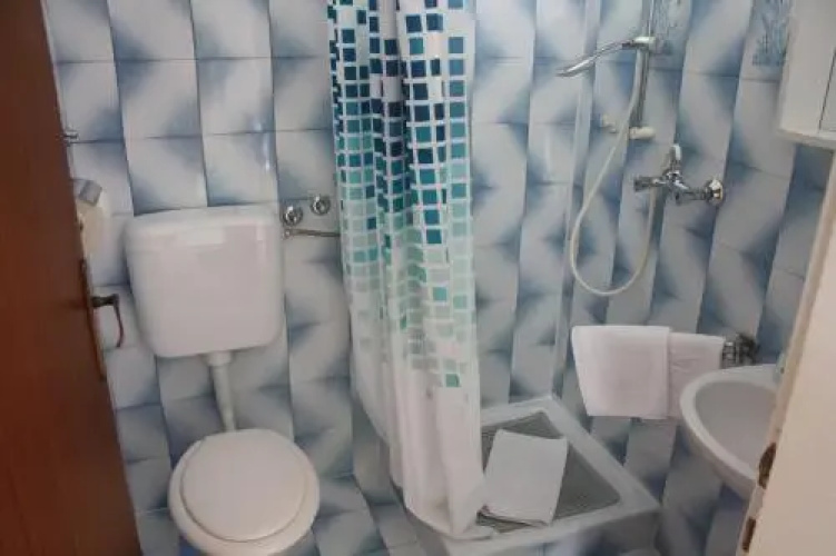 Apartment Branka