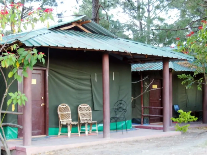 Tent