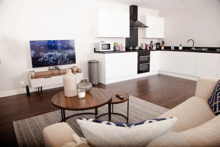 Luxury Apartment