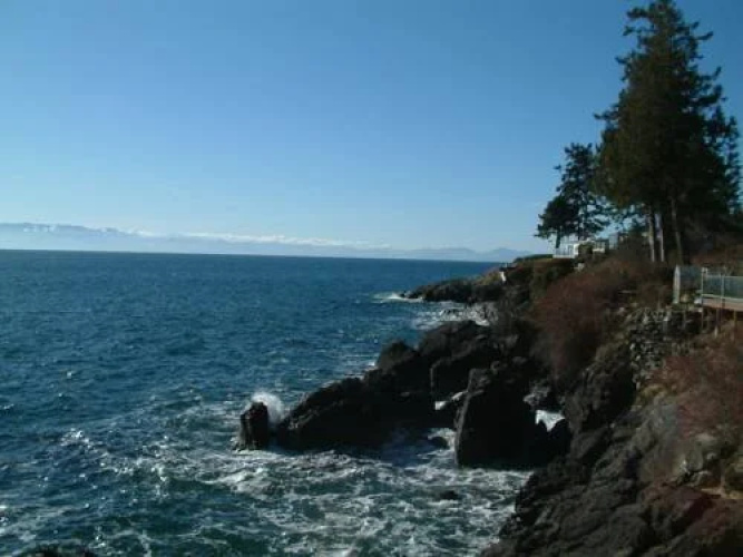 Orca View Cottage
