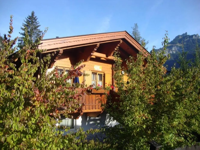 2 Bedrooms Apartment with garden view