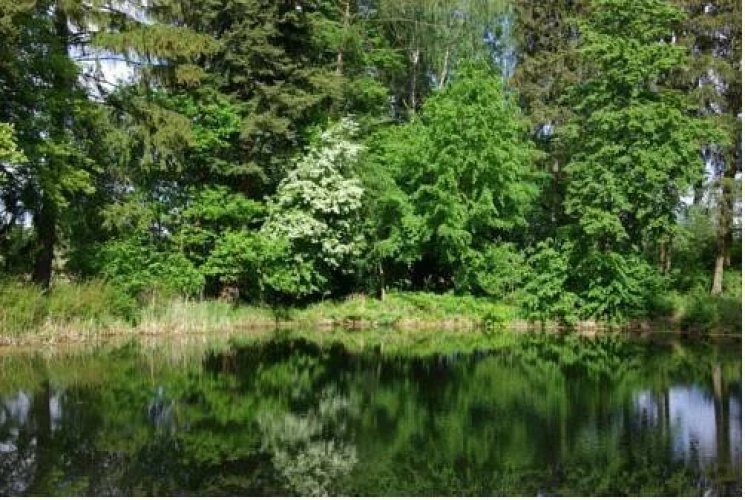 Gesundheitsfarm Villa Morgentau