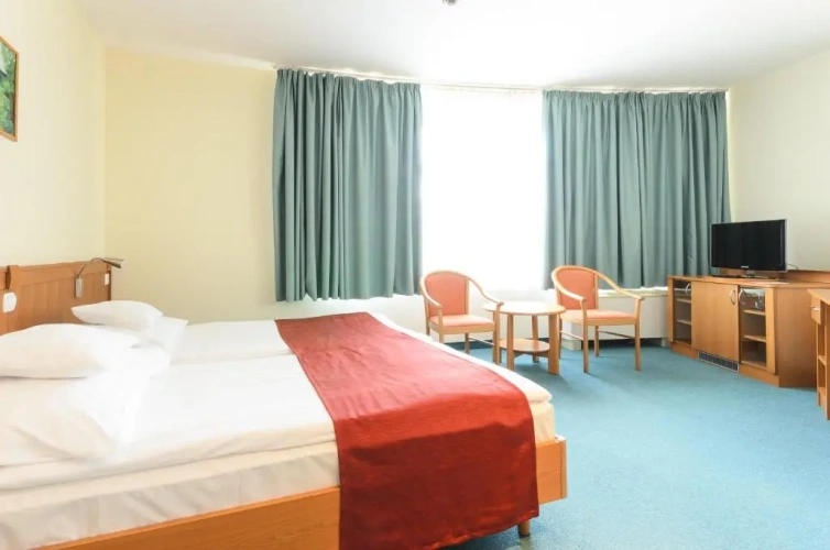 1 Bedroom Suite with balcony and with view