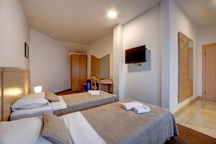 Standard Twin room with park view