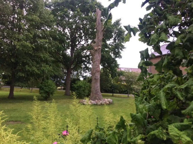 Fewo an der Mühle