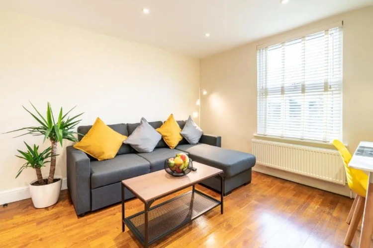 1 Bedroom Apartment
