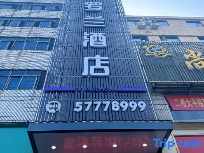 Violet Hotel