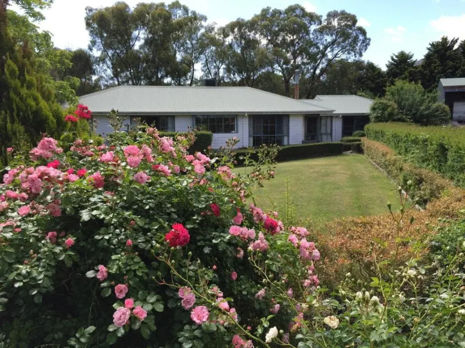 White Rose Cottage
