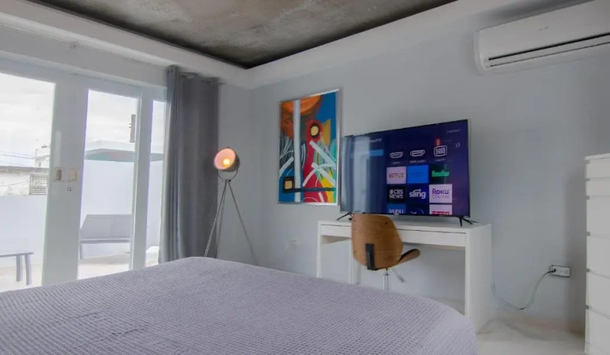 Penthouse Apartment