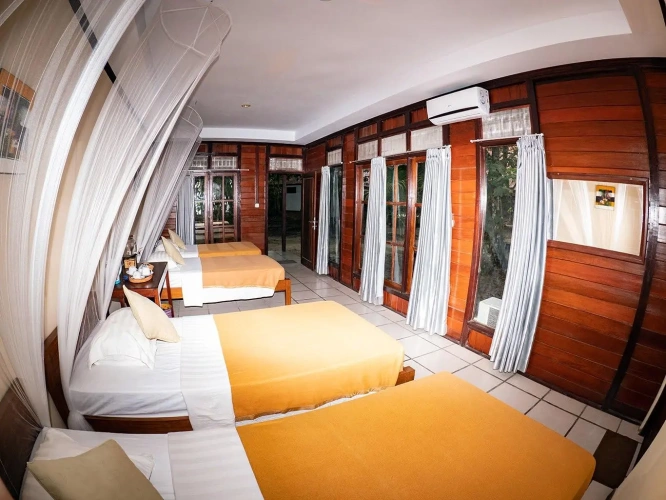 Standard Quadruple Family room
