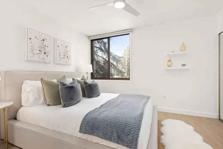 Riverview 26 in Aspen