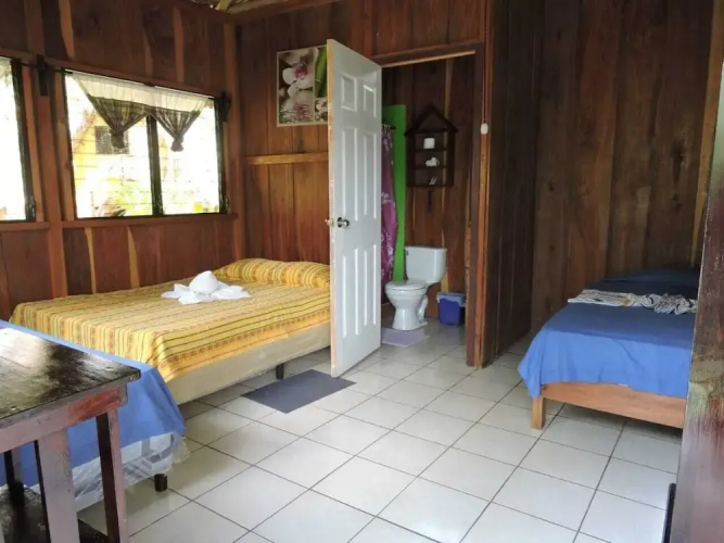 Hostal Oasis The Traveler - Hostel