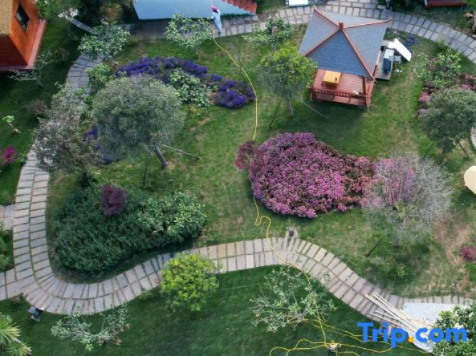 Dali Mini Designer Influencer Garden Homestay