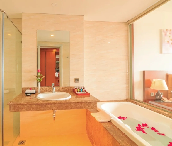 Superior Double room with balcony and with ocean view