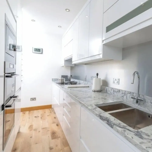 Luxury Apartment